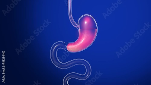3D animation of stomach with burning. Transparent glass anatomy with moving lights. With reflections on a dark blue background.