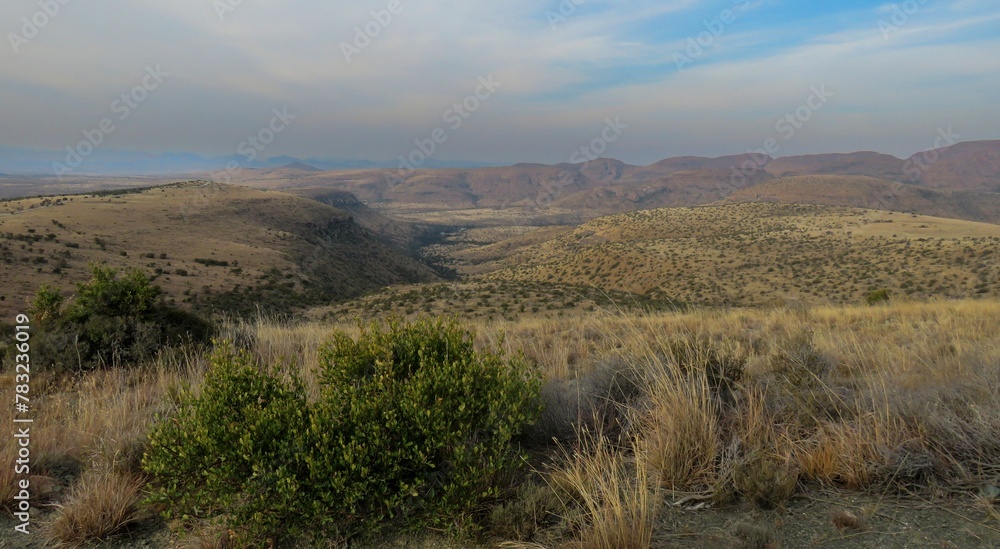 The Mountain Zebra National Park is surrounded by the Bankberg mountains and can be best seen from the Kranskop and Rooiplaat loops.