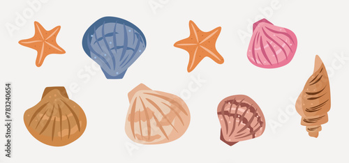 Sea shells on white background, sea collection