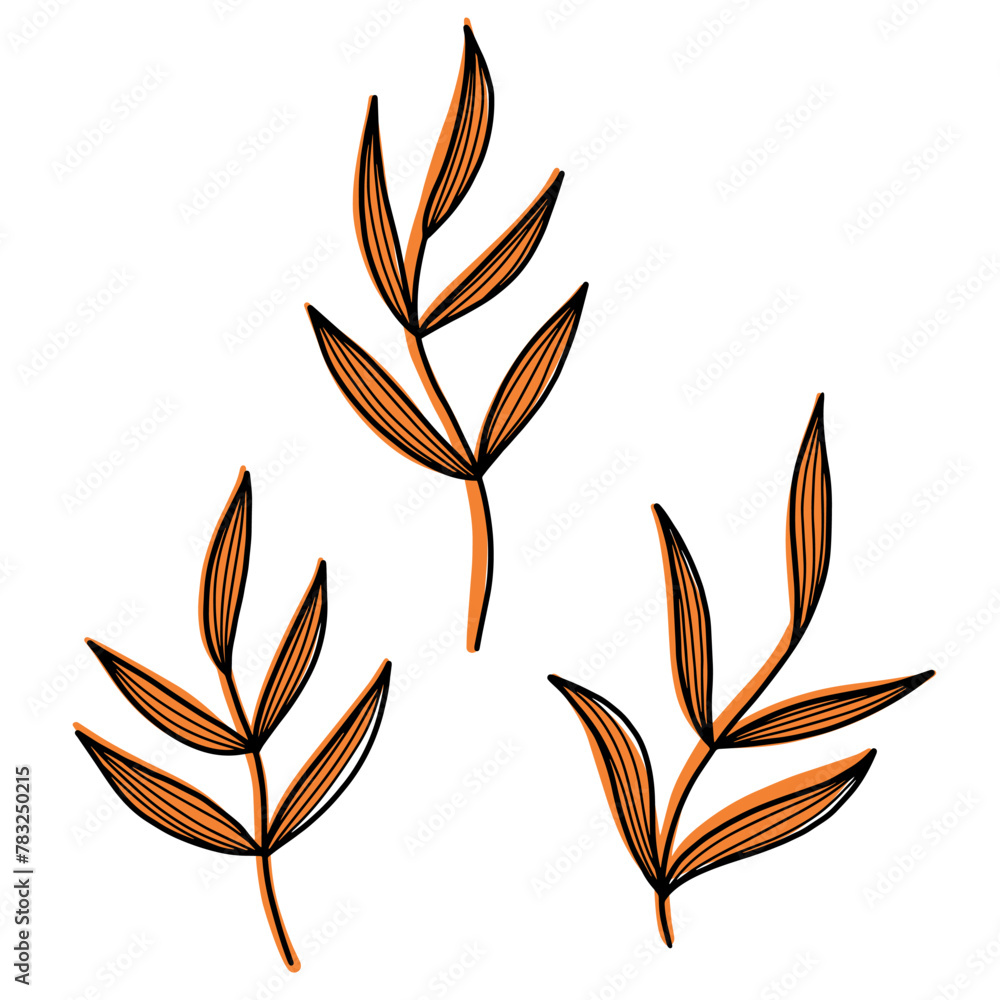 delicate outlined branches with leaves 