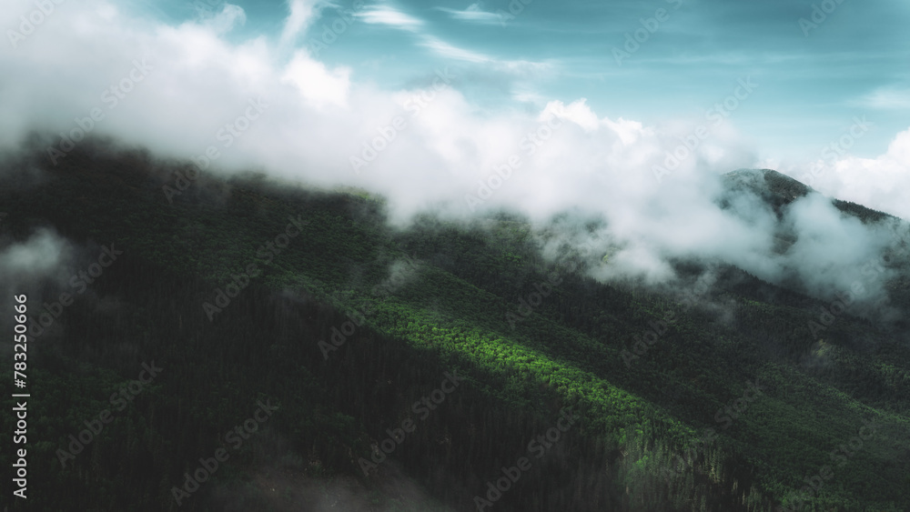 Fototapeta premium Misty Forested Mountains
