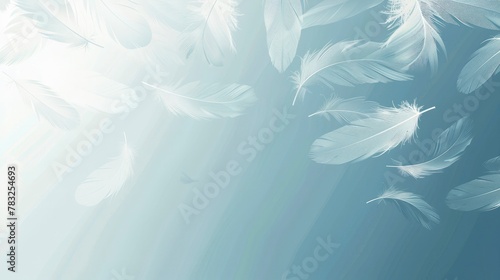 A soft blue background with white feathers floating in the air