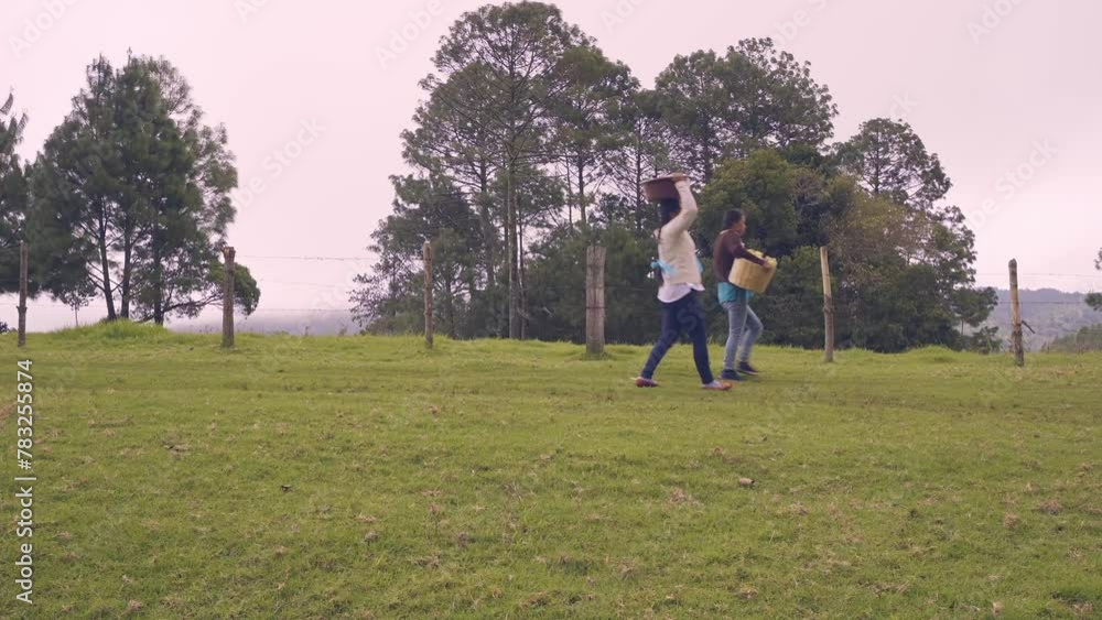 Two women walk through a green and wooded area to reach the point where a nixtamal mill is located. Two women walk through a green and wooded area to reach the point where a nixtamal mill is located.