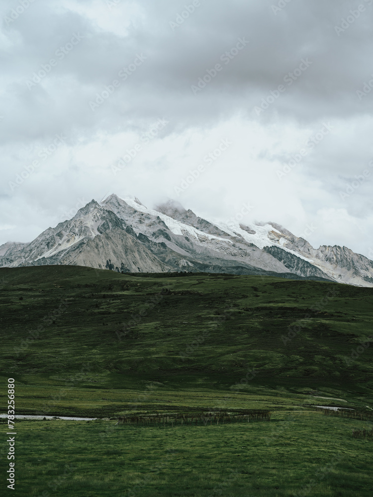 Fototapeta premium Green Fields under Snowy Mountains