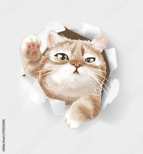 grumpy kitten in paper hole hand drawn vector illustration