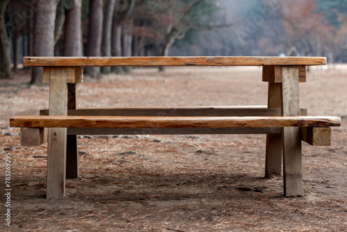 View of the empty table-bench in the park