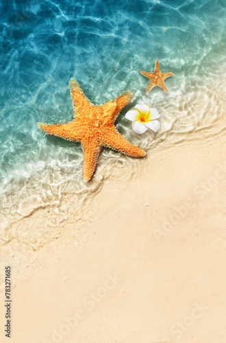 Starfish and flower on the summer beach in sea water. Summer background.