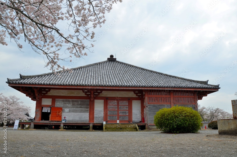 浄土寺 浄土堂と桜
