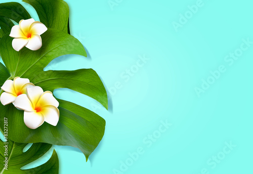Top view of holiday travel beach with flower plumeria and monstera leaves on blue background. © Belight
