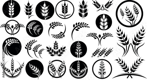 wheat food rice. Harvest wheat grain, growth rice stalk and bread grains great set collection clip art Silhouette , Black vector illustration on white background  photo