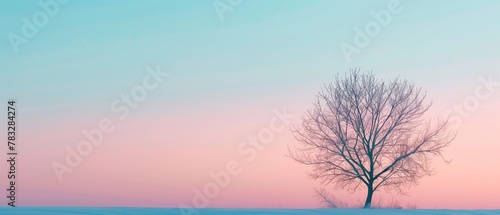 Solitary Tree in Winter Scene at Sunset with Pastel Sky, Copy Space © Martin Funk