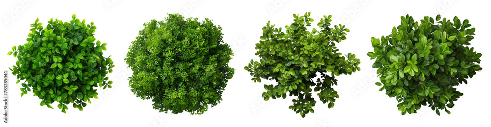 Set of green round garden bushes, cut out Set of green round garden bushes, cut out