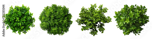 Set of green round garden bushes  cut out