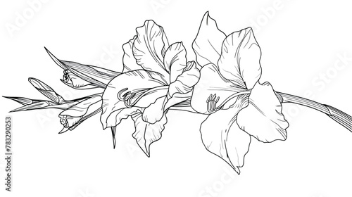 a black and white drawing of a flower