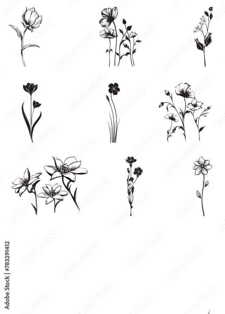 set of flower vector designs, art, background, banner, border, calligraphic, calligraphy, card, collection, corner, daisy, deco, decor, decoration, decorative, design, divider, doodle, elegant, elemen