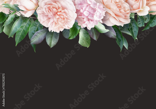 Floral banner, header with copy space. Pink roses, hydrangea isolated on dark background. Natural flowers wallpaper or greeting card.