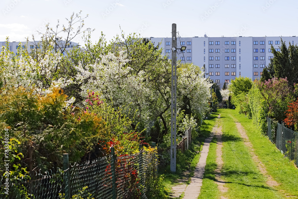 Allotments and a dirt road through them