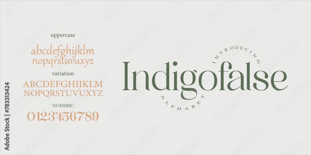 Indigofalse elegant Font Uppercase Lowercase and Number. Classic Lettering Minimal Fashion Designs. Typography modern serif fonts regular decorative vintage concept. vector Indigofalse elegant Font Uppercase Lowercase and Number. Classic Lettering Minimal Fashion Designs. Typography modern serif fonts regular decorative vintage concept. vector