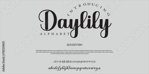 daylilyelegant Font Uppercase Lowercase and Number. Classic Lettering Minimal Fashion Designs. Typography modern serif fonts regular decorative vintage concept. vector .