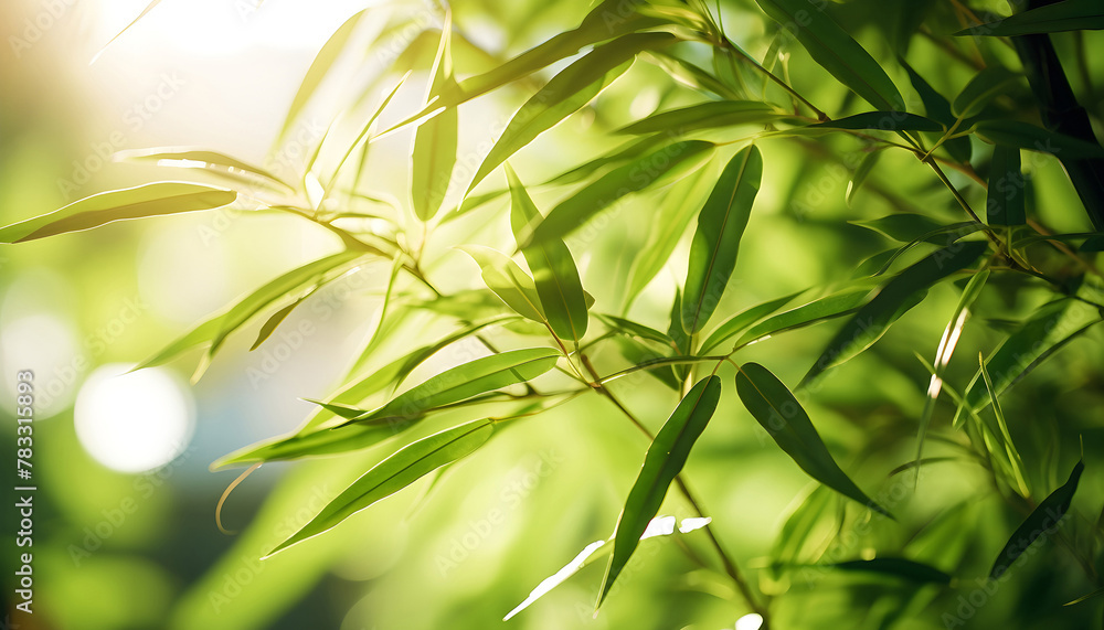 bamboo tree with the sun shining through the leaves and a blurry bamboo tree with the sun shining through the leaves and a blurry