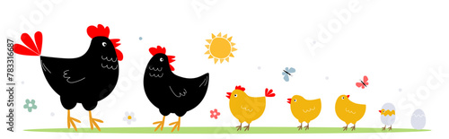Set of bird family, poultry. Rooster, hen, chicks, eggs together one after another. Vector graphics.