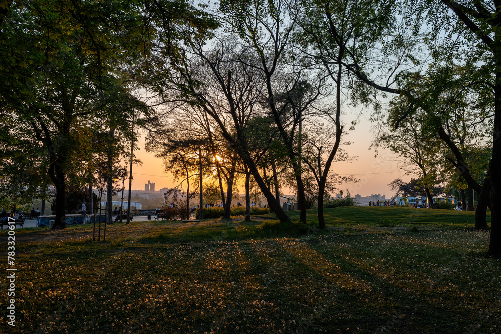 The setting sun over Belgrade is visible through the branches of trees in the park.