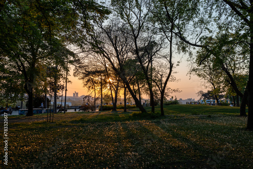 Obraz na płótnie The setting sun over Belgrade is visible through the branches of trees in the park. w salonie