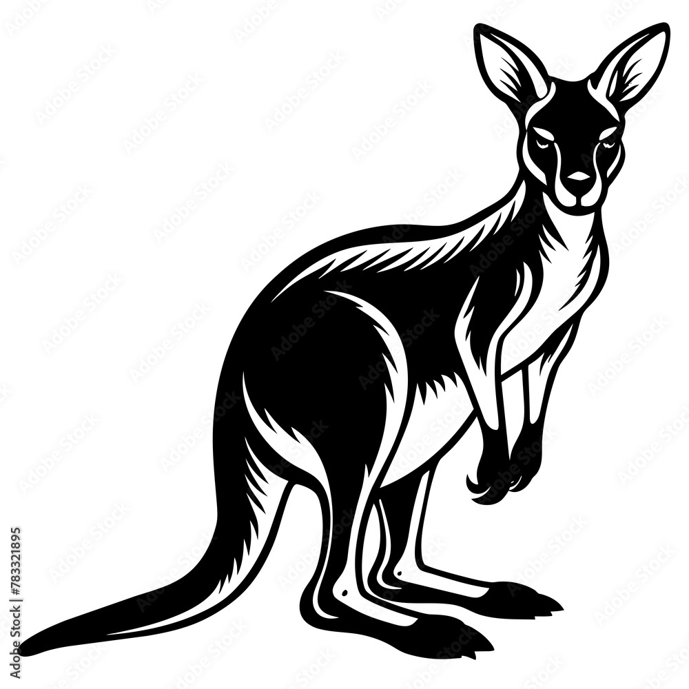 kangaroo-illustration