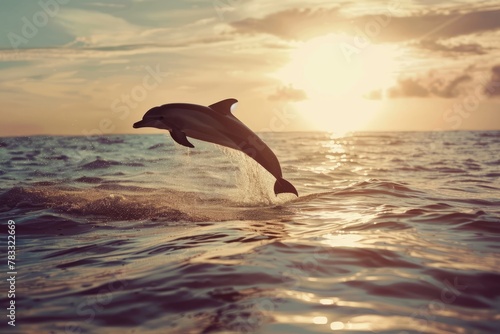 A lonely playful dolphin surfs the waves of the ocean, the dolphin jumps above the surface of the water photo