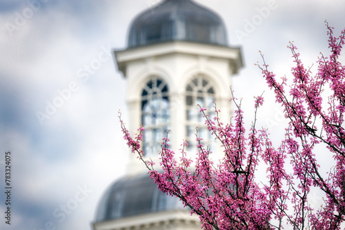 Blossoms at the Palace