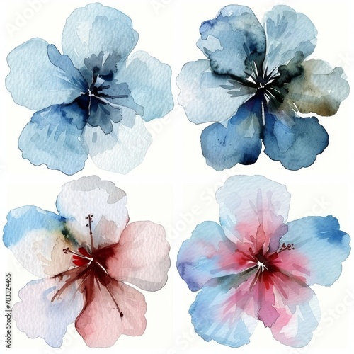 set of watercolor flowers