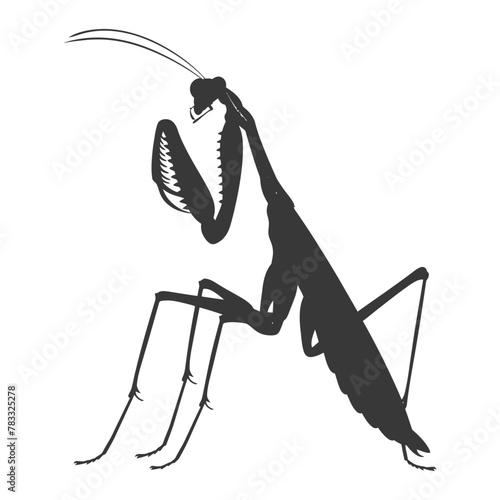 Silhouette mantis animal black color only full body