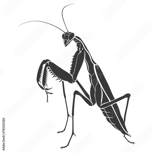 Silhouette mantis animal black color only full body