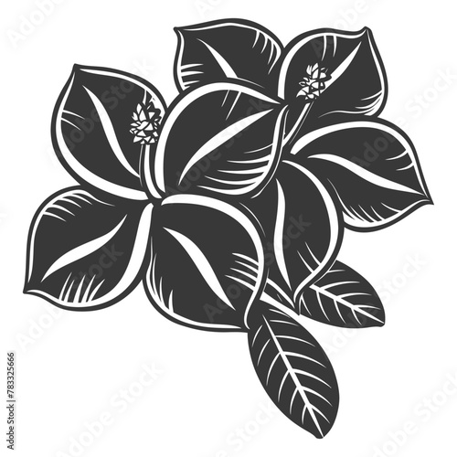 Silhouette plumeria flower black color only vector