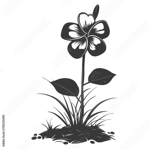 Silhouette plumeria flower in the ground black color only