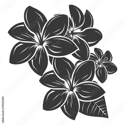 Silhouette plumeria flower black color only vector
