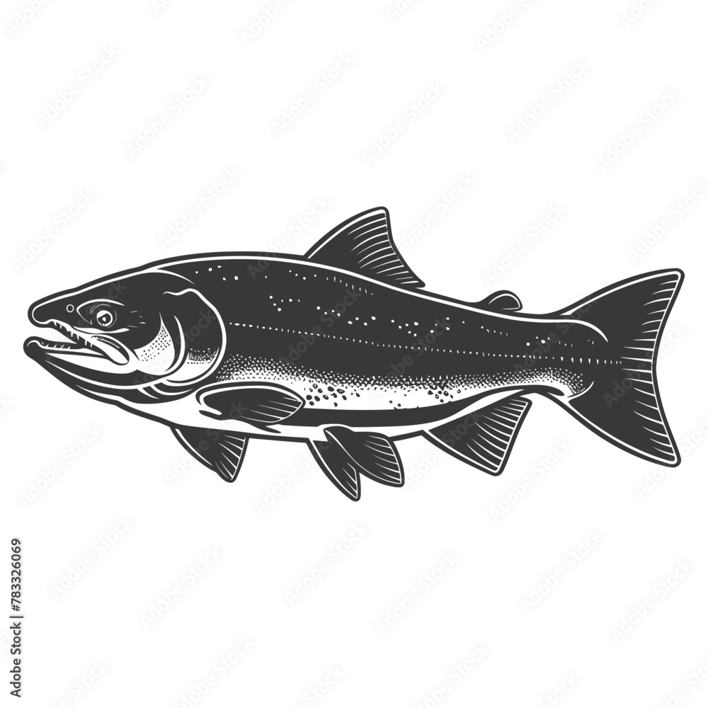 Obraz premium Silhouette salmon fish animal black color only full body