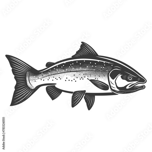 Silhouette salmon fish animal black color only full body