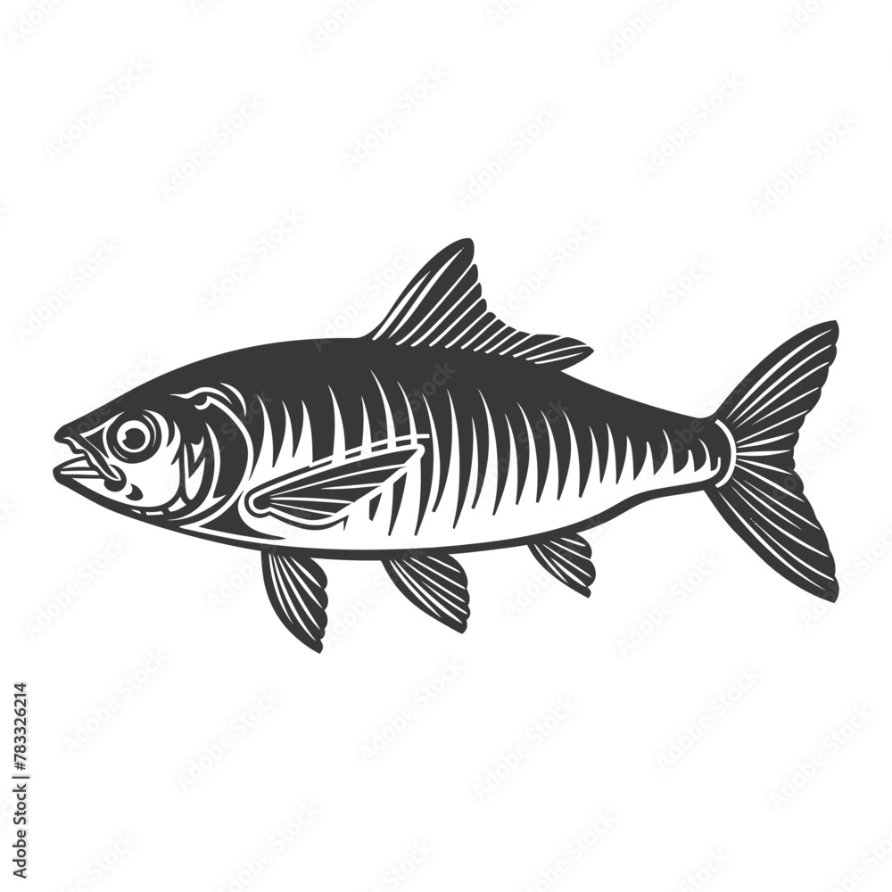 Silhouette sardine fish animal black color only full body Silhouette sardine fish animal black color only full body