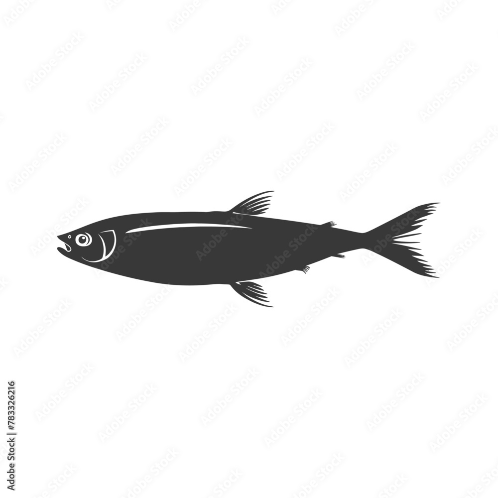 Fototapeta premium Silhouette sardine fish animal black color only full body