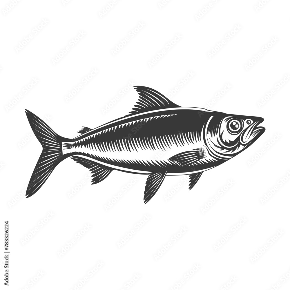 Obraz premium Silhouette sardine fish animal black color only full body