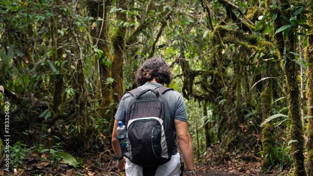 man walking in the middle of the Colombian jungle man walking in the middle of the Colombian jungle