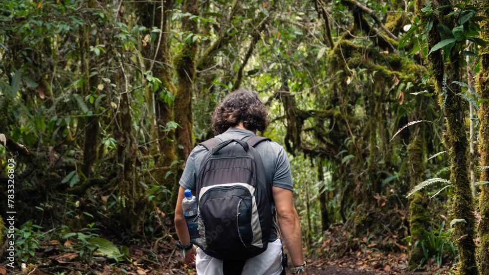 man walking in the middle of the Colombian jungle