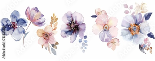 set of watercolor flowers