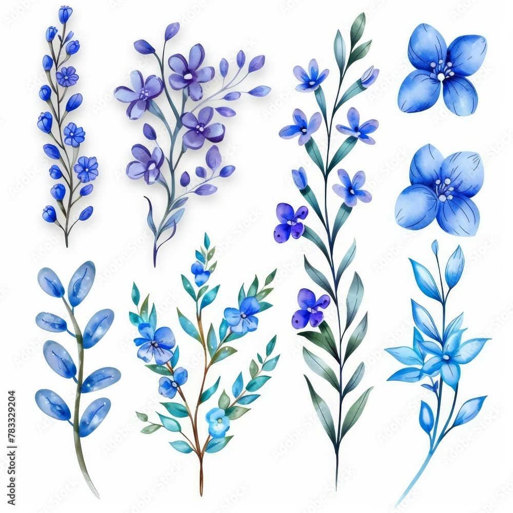 set of watercolor flowers set of watercolor flowers