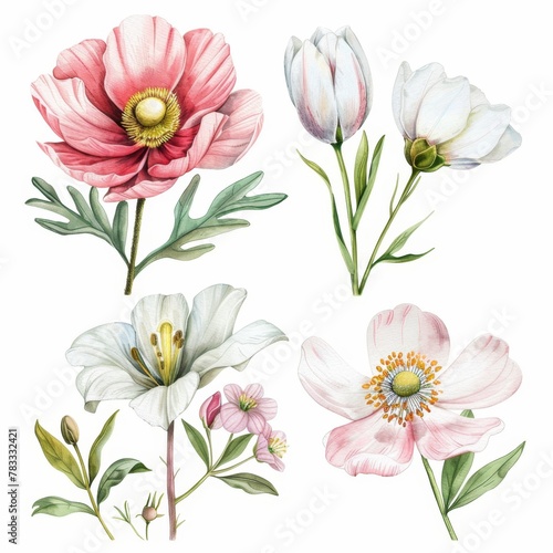 set of watercolor flowers