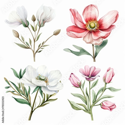 set of watercolor flowers