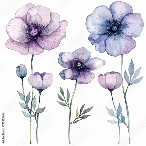 Wallpaper Mural set of watercolor flowers Torontodigital.ca