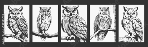 Owl line art vector illustrations in a collection