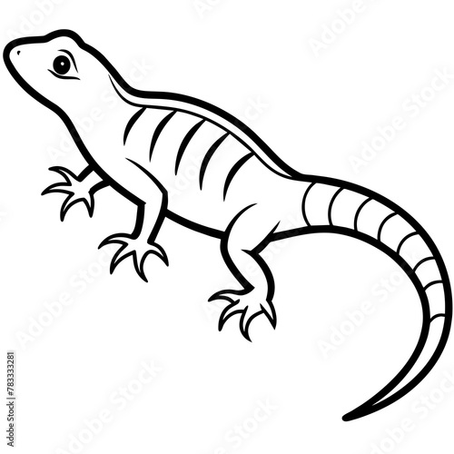 lizard